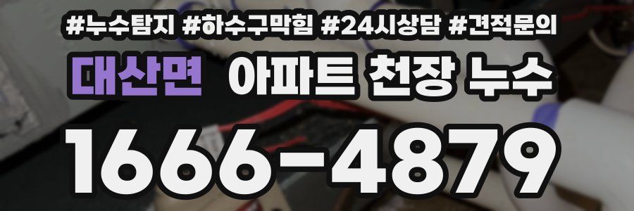 대산면 아파트 천장 누수