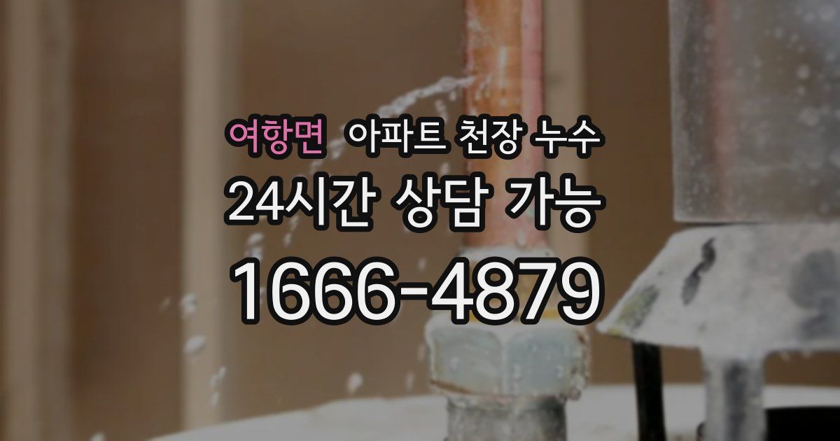여항면 아파트 천장 누수