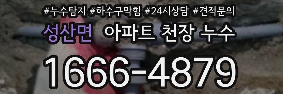 성산면 아파트 천장 누수
