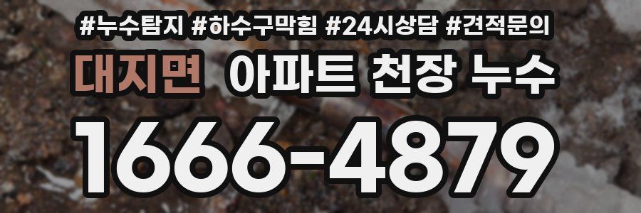 대지면 아파트 천장 누수