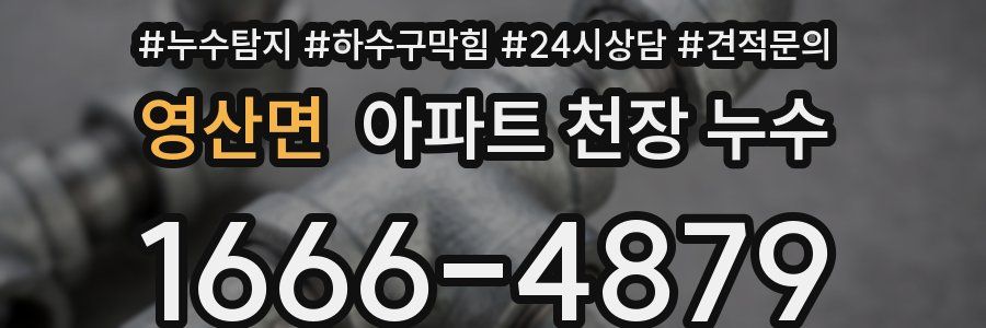 영산면 아파트 천장 누수