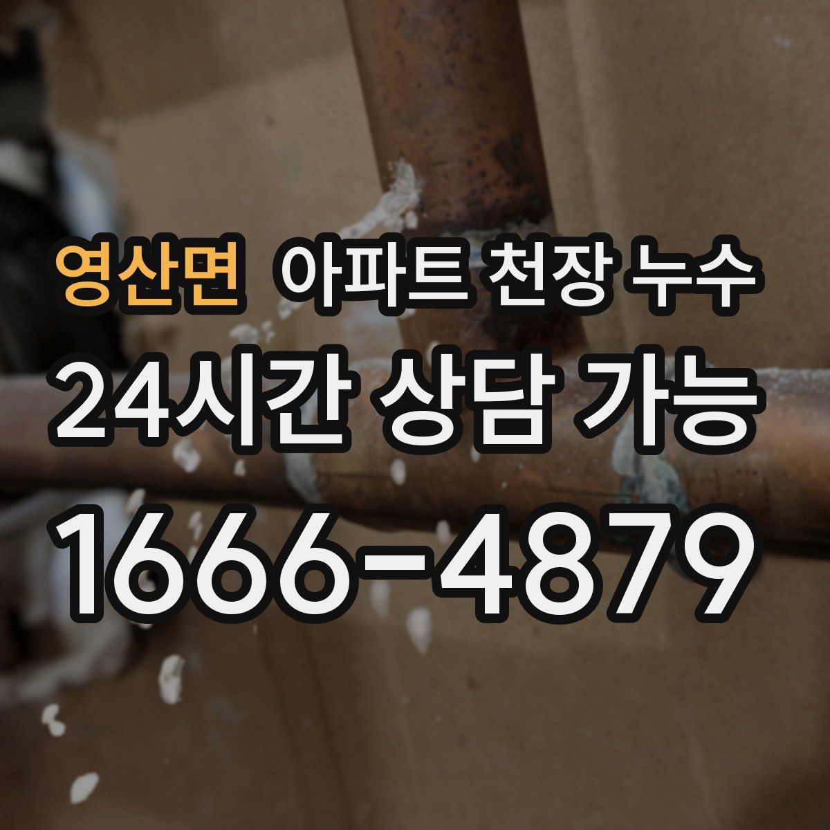 영산면 아파트 천장 누수