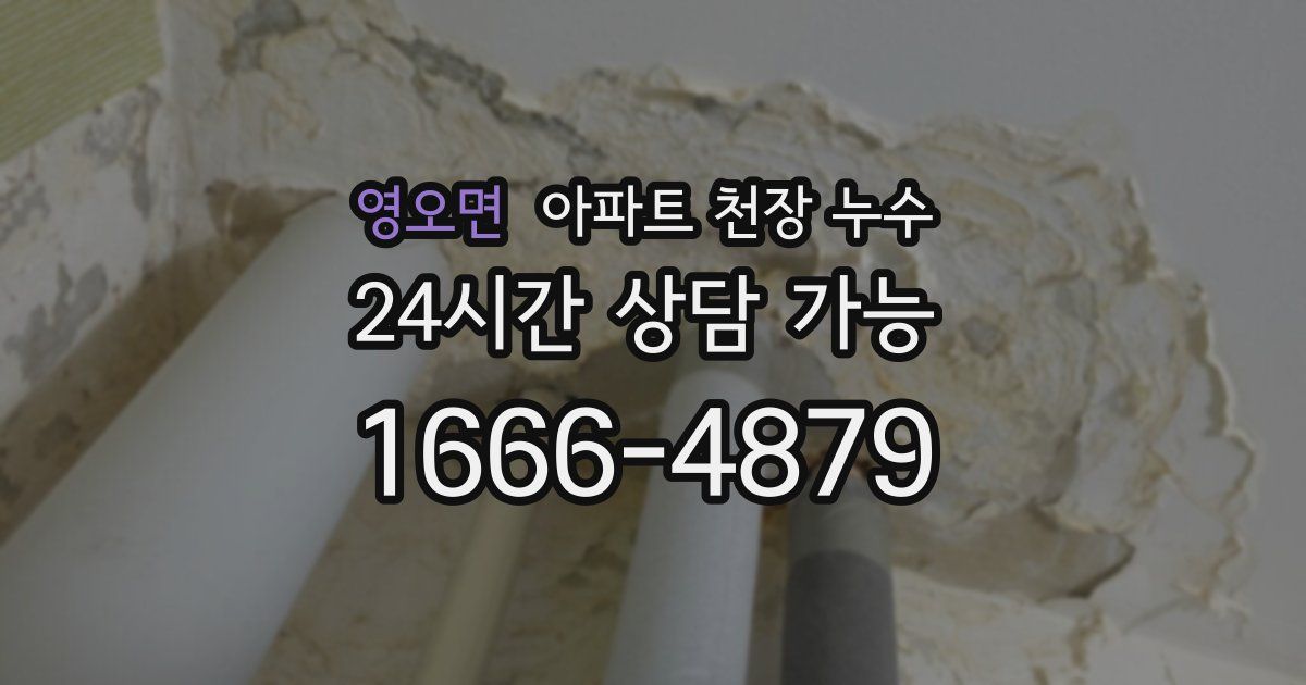 영오면 아파트 천장 누수