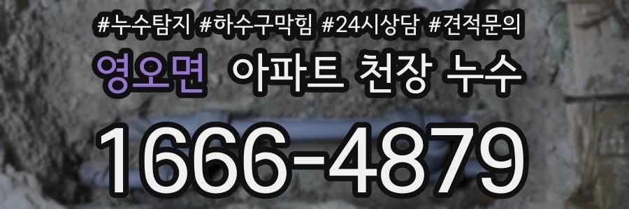 영오면 아파트 천장 누수