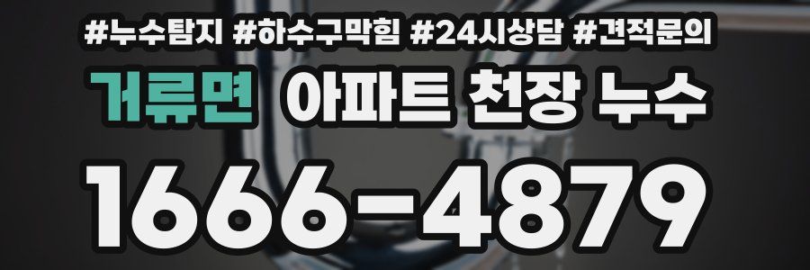 거류면 아파트 천장 누수
