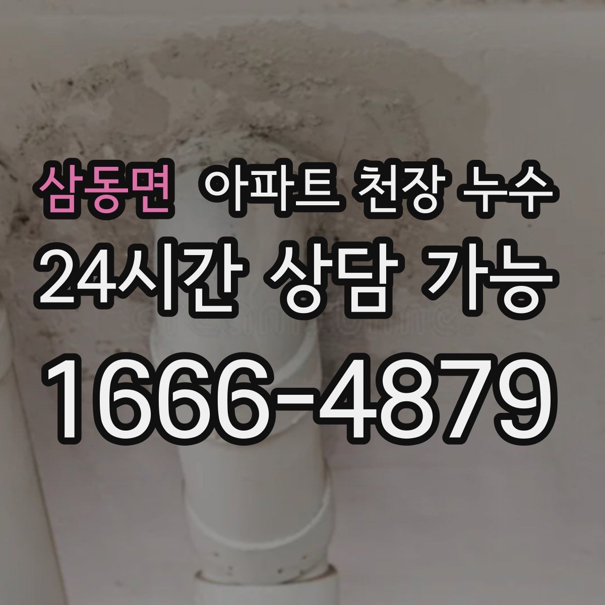 삼동면 아파트 천장 누수
