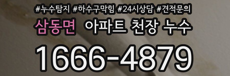 삼동면 아파트 천장 누수