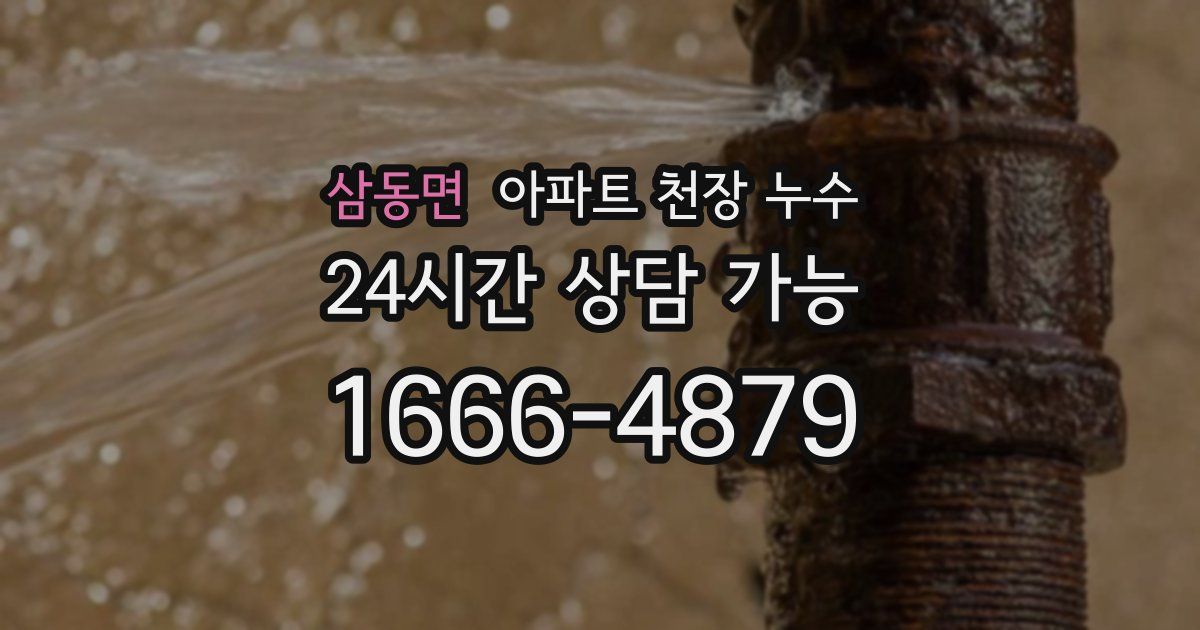 삼동면 아파트 천장 누수