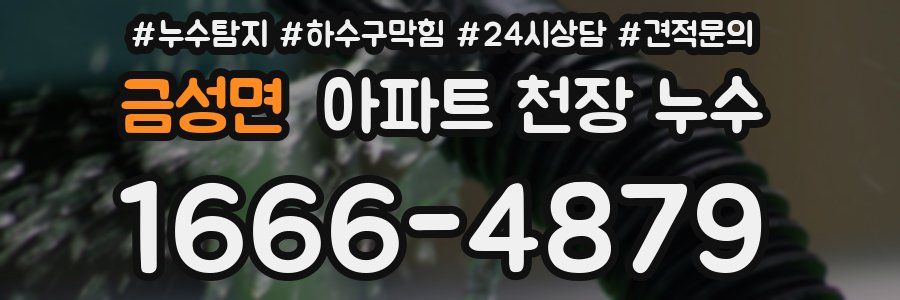 금성면 아파트 천장 누수