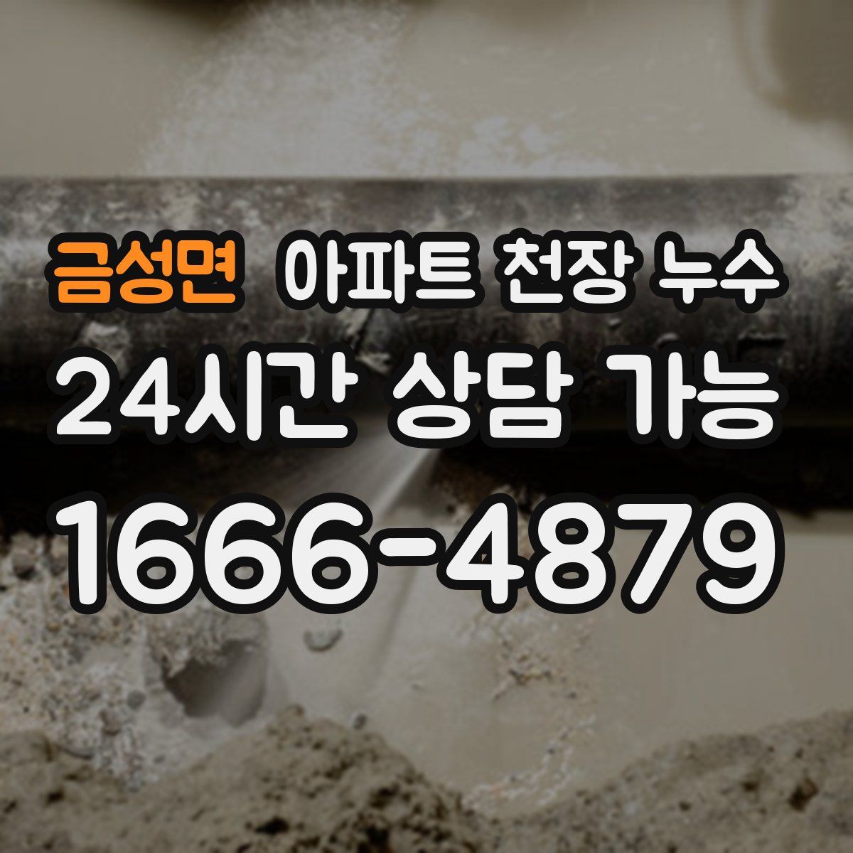 금성면 아파트 천장 누수