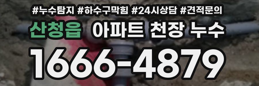 산청읍 아파트 천장 누수