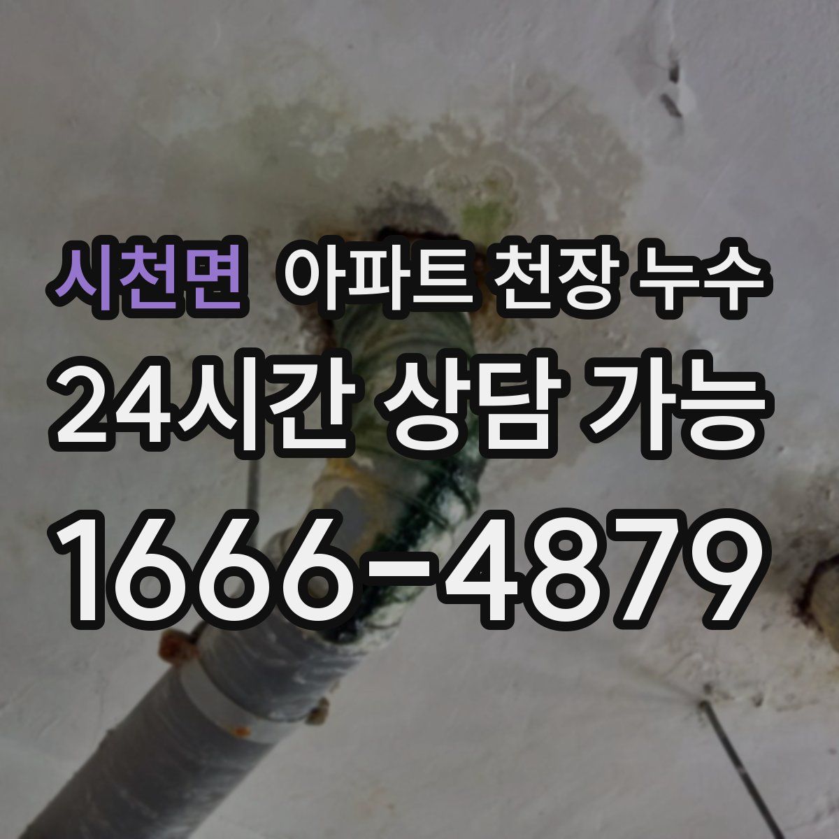 시천면 아파트 천장 누수