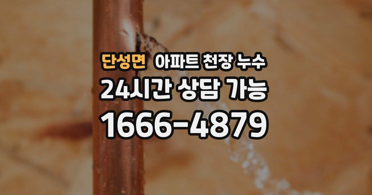단성면 아파트 천장 누수