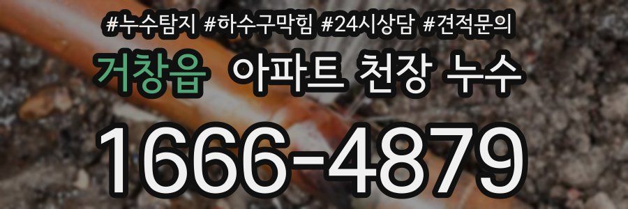 거창읍 아파트 천장 누수