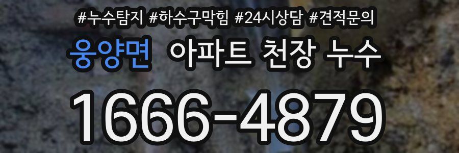 웅양면 아파트 천장 누수