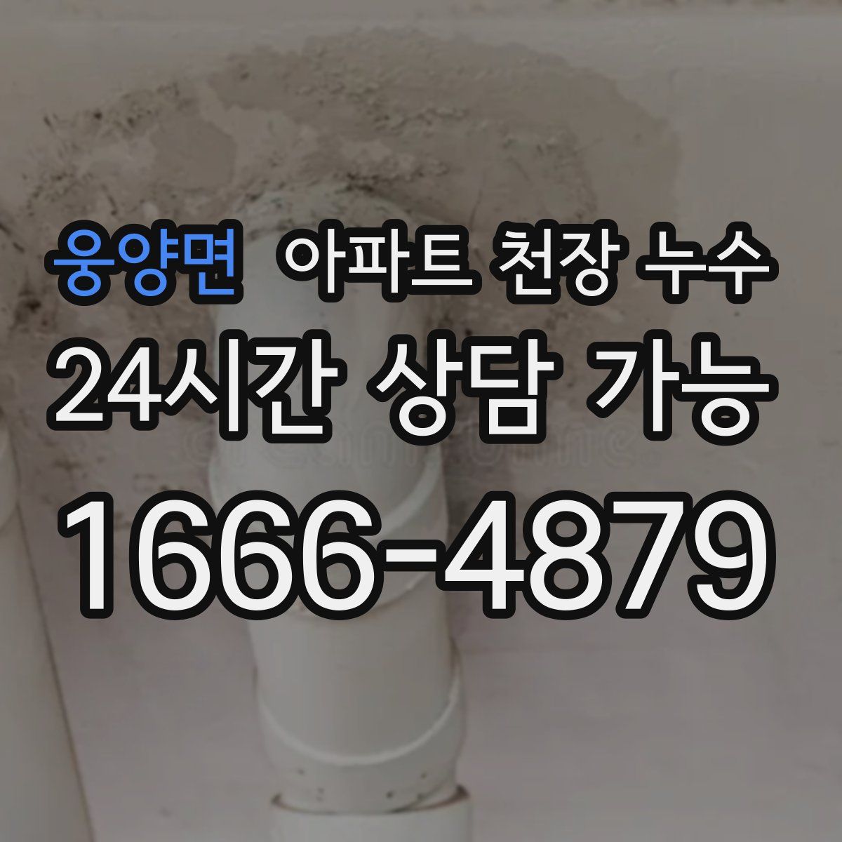 웅양면 아파트 천장 누수