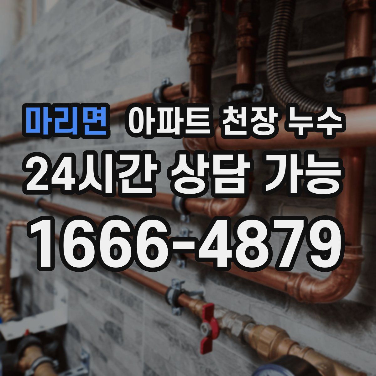 마리면 아파트 천장 누수