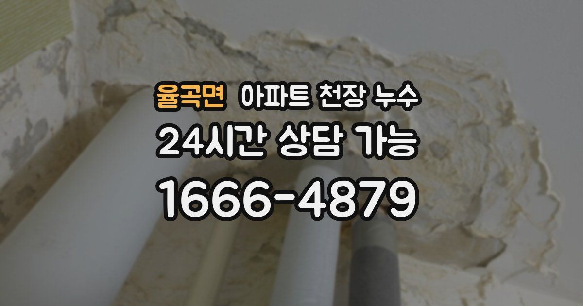 율곡면 아파트 천장 누수