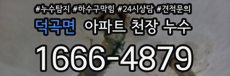 덕곡면 아파트 천장 누수