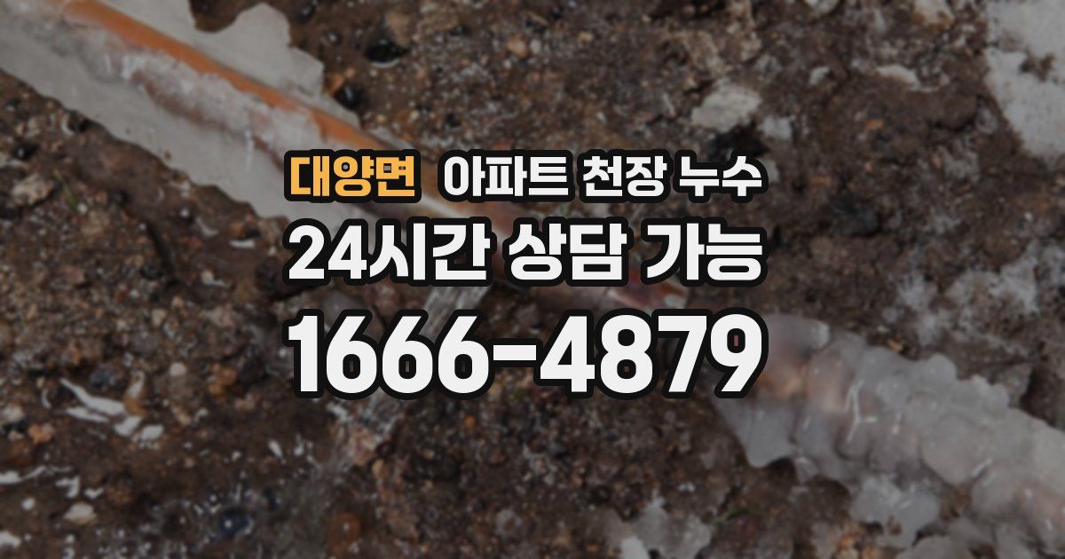 대양면 아파트 천장 누수