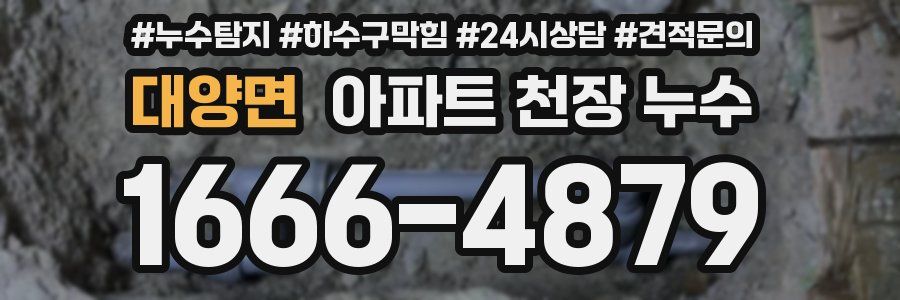 대양면 아파트 천장 누수