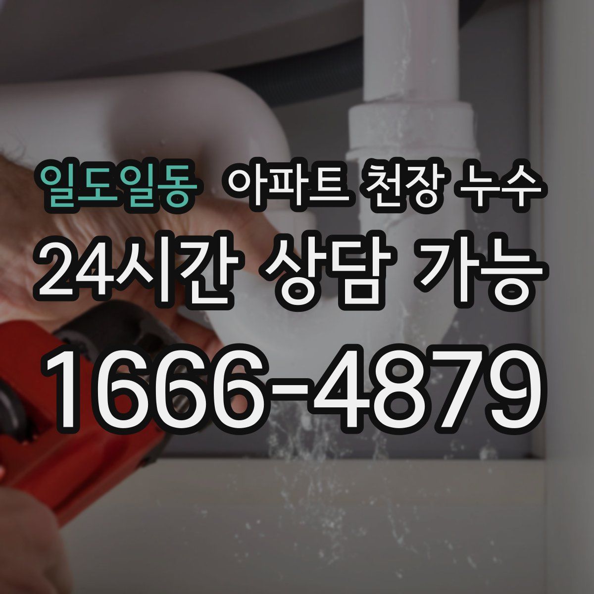 일도일동 아파트 천장 누수