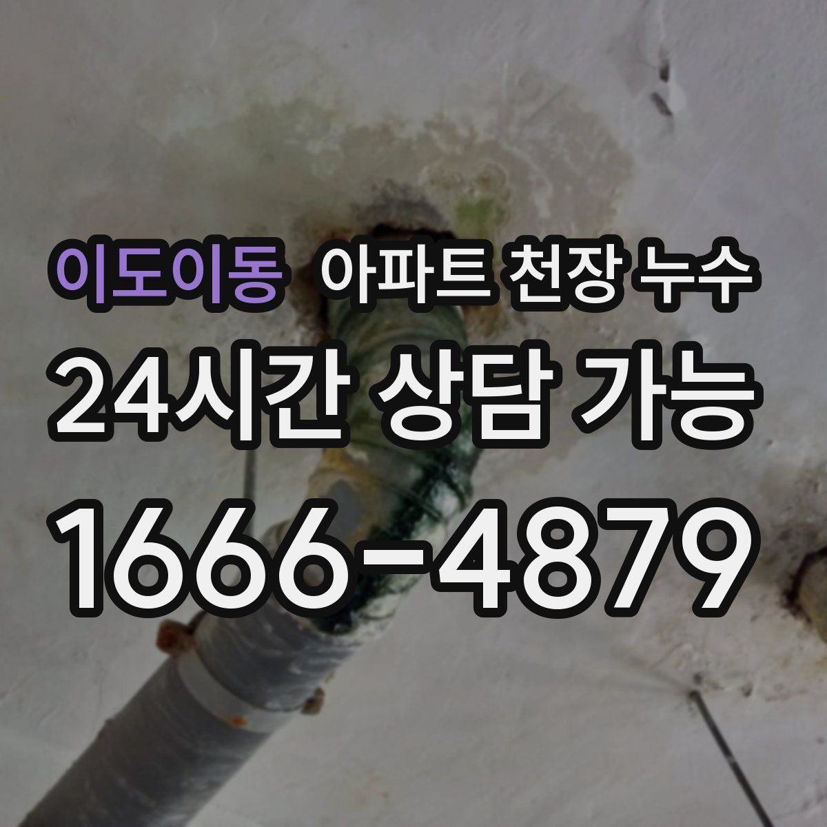 이도이동 아파트 천장 누수