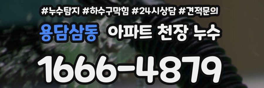 용담삼동 아파트 천장 누수