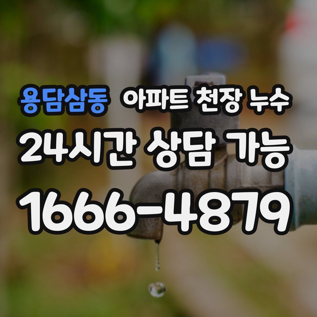 용담삼동 아파트 천장 누수