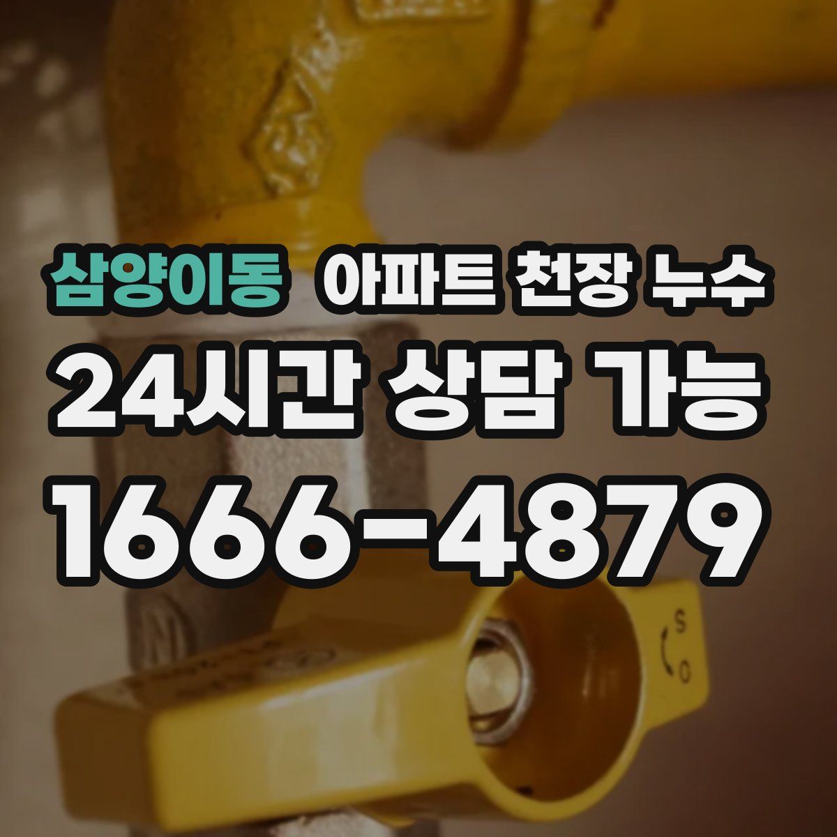 삼양이동 아파트 천장 누수