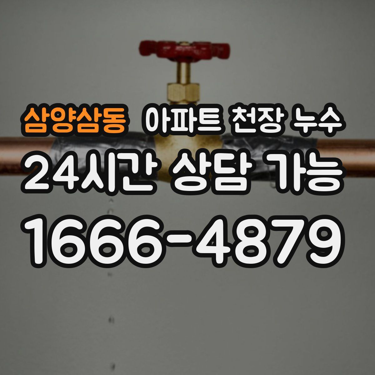 삼양삼동 아파트 천장 누수