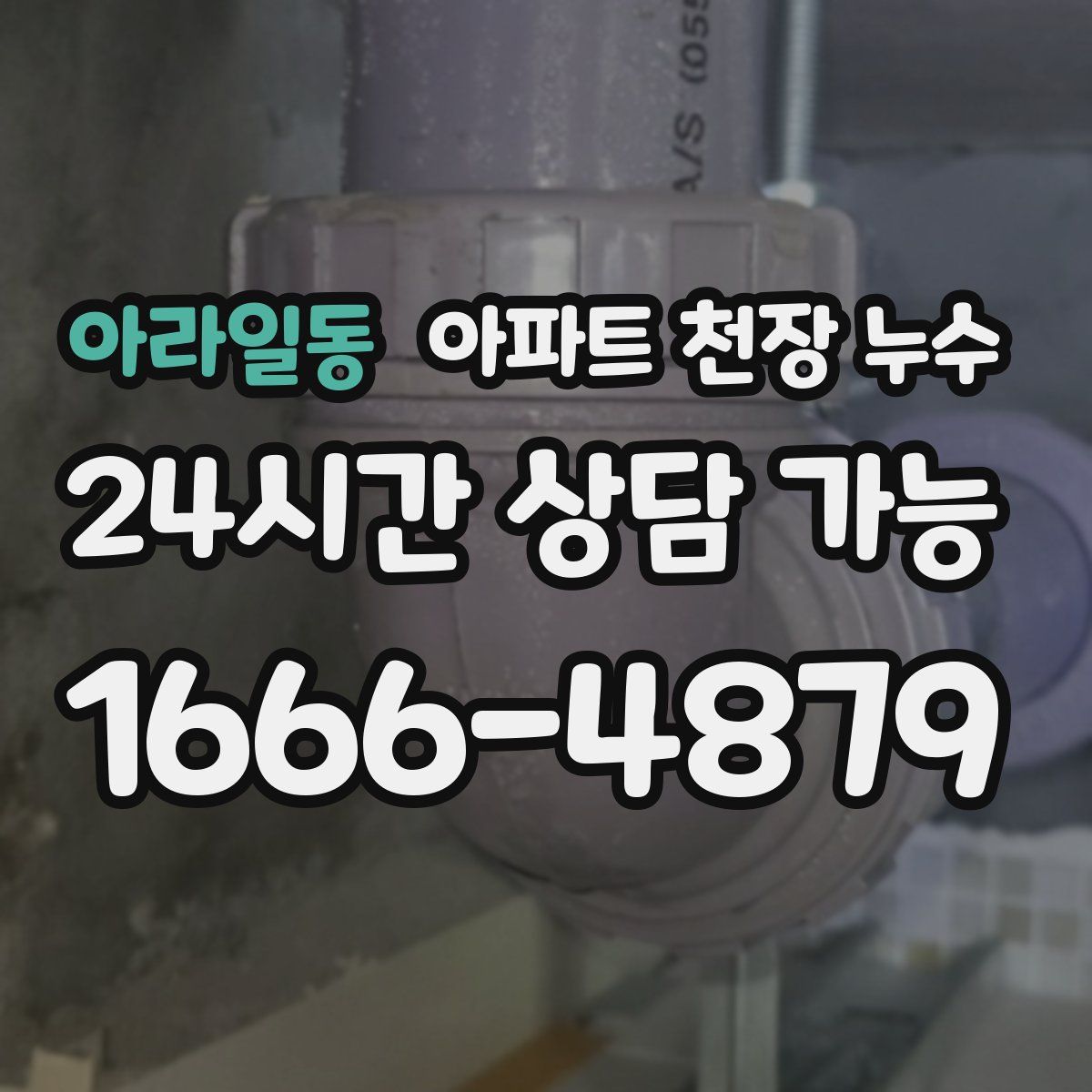 아라일동 아파트 천장 누수