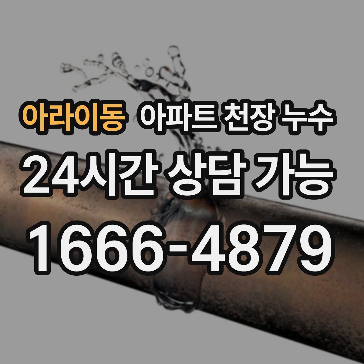 아라이동 아파트 천장 누수