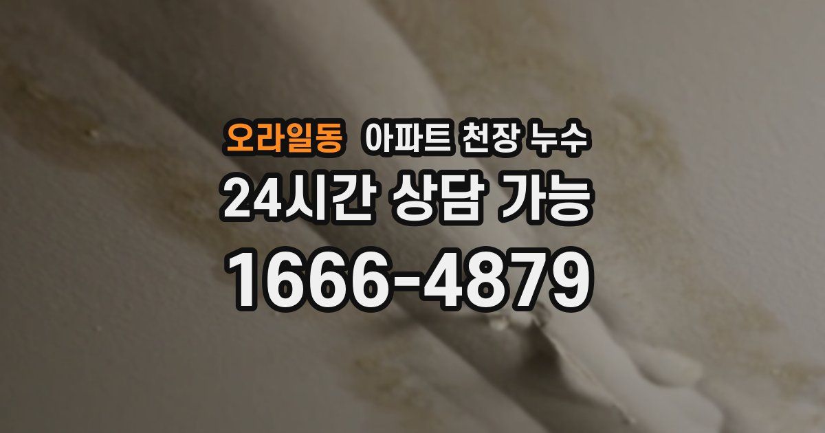 오라일동 아파트 천장 누수