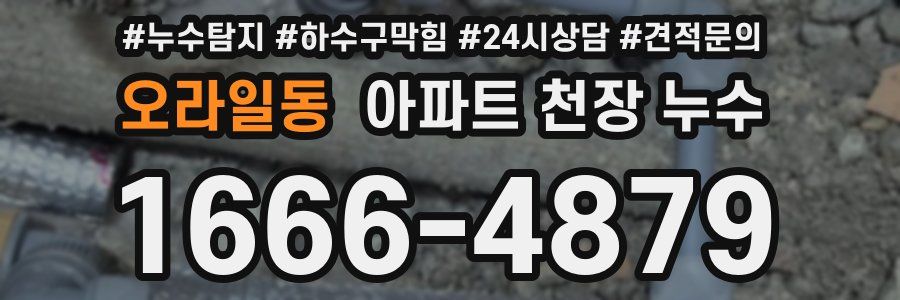 오라일동 아파트 천장 누수