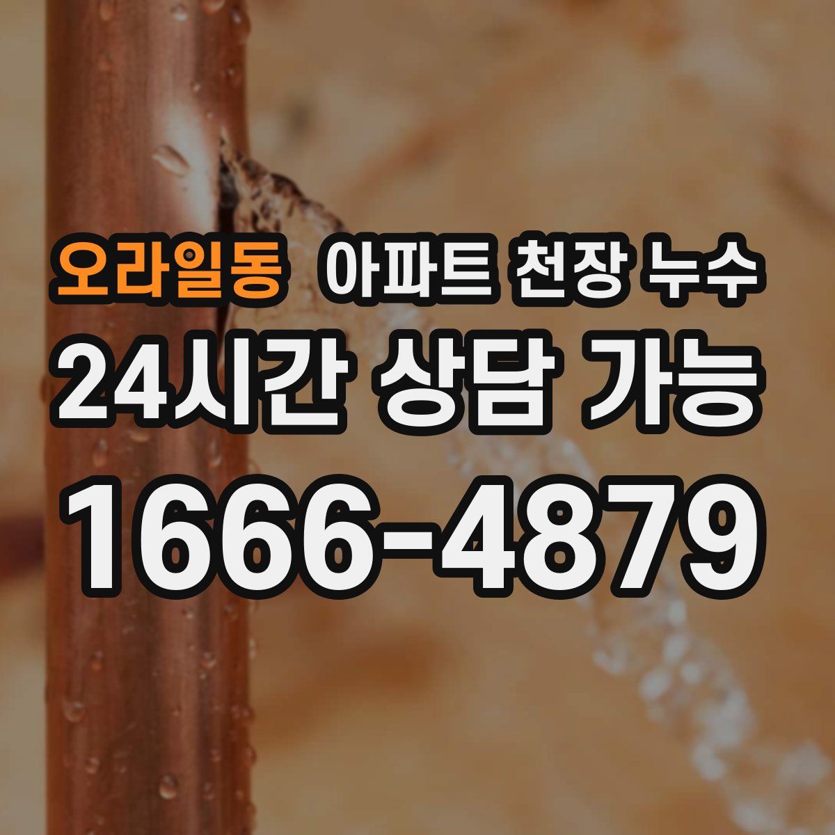 오라일동 아파트 천장 누수