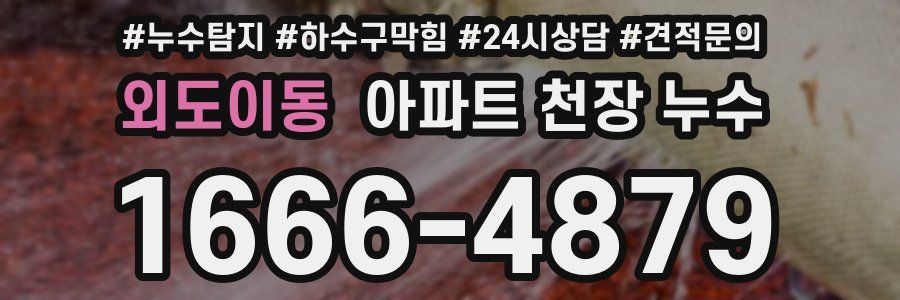 외도이동 아파트 천장 누수