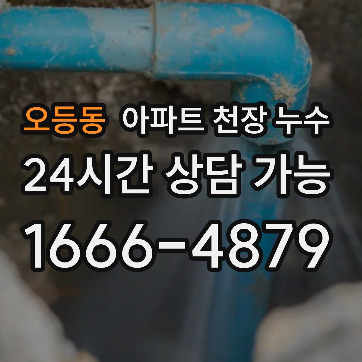 오등동 아파트 천장 누수