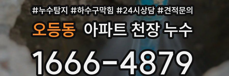 오등동 아파트 천장 누수