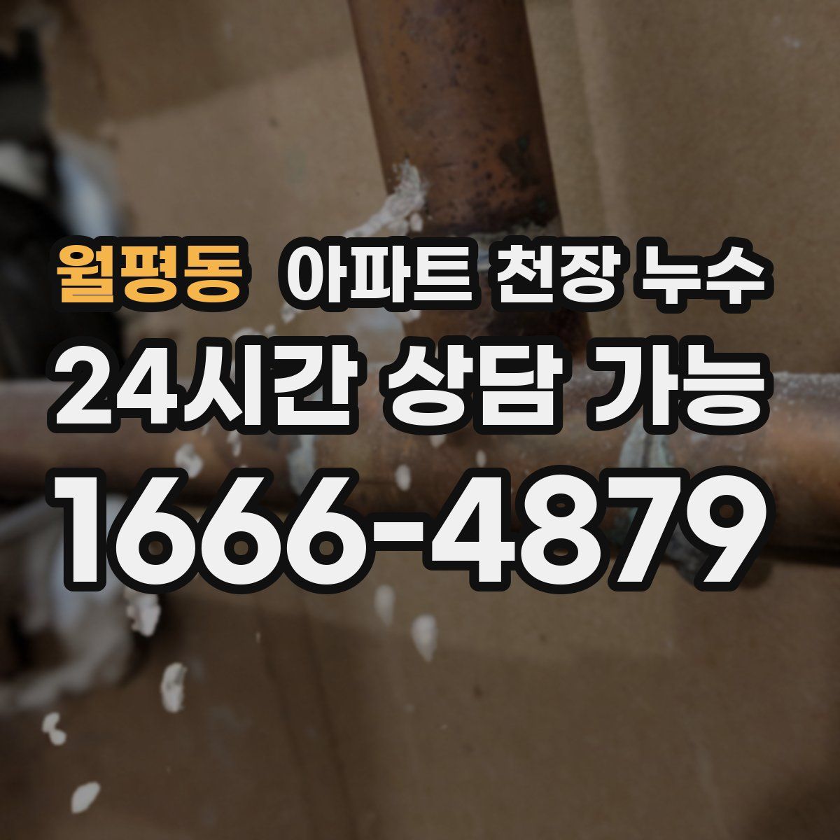 월평동 아파트 천장 누수