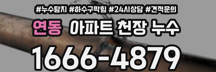 연동 아파트 천장 누수