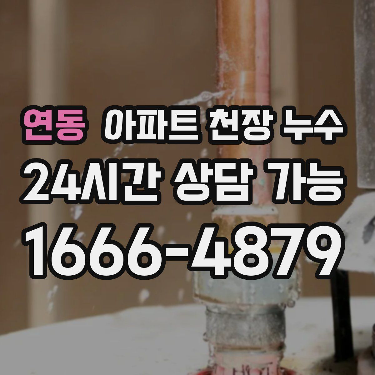 연동 아파트 천장 누수