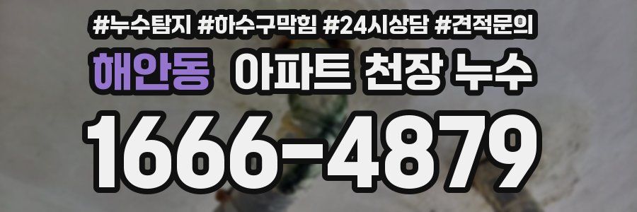 해안동 아파트 천장 누수