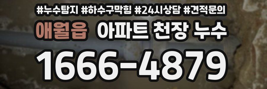 애월읍 아파트 천장 누수