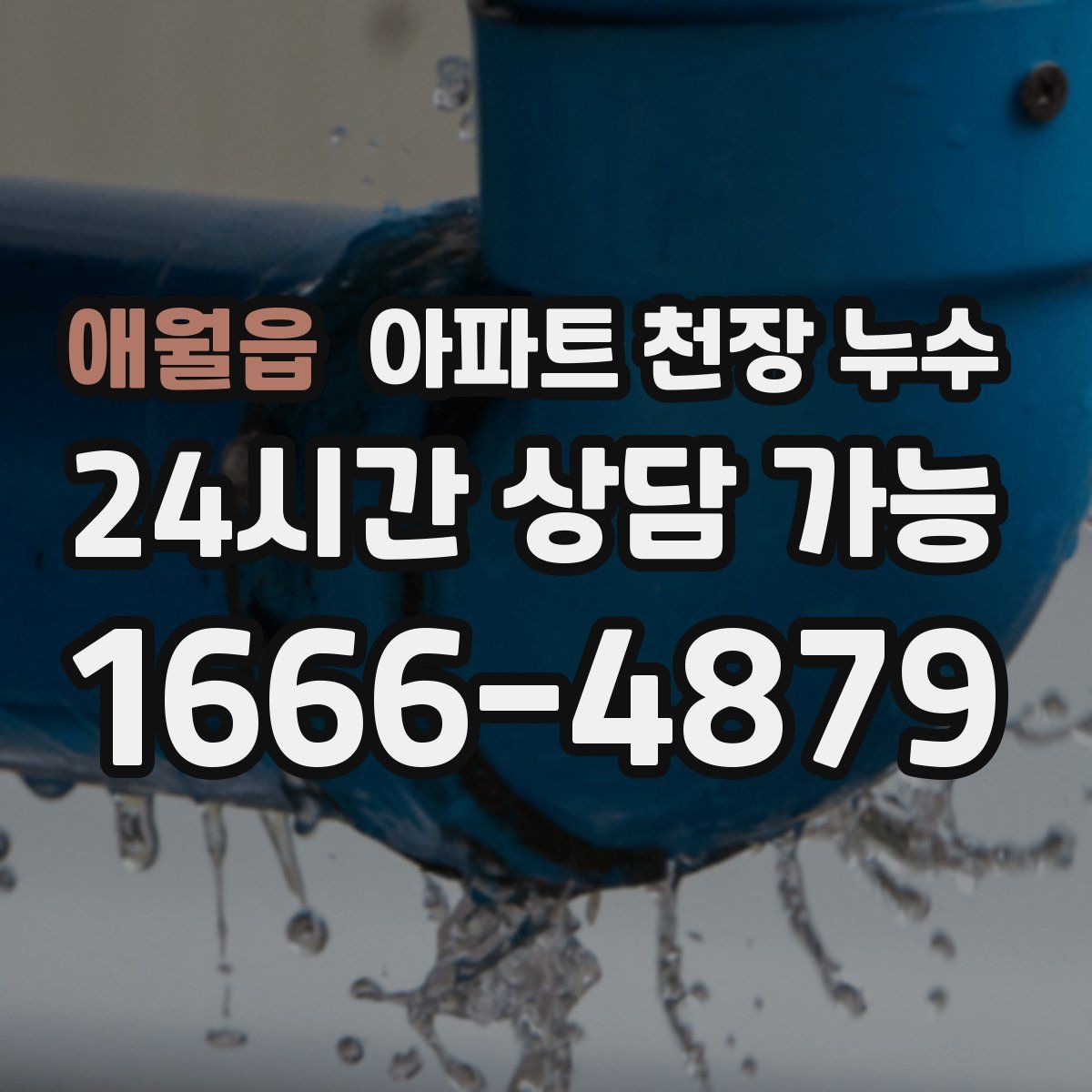 애월읍 아파트 천장 누수