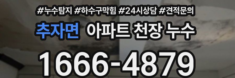 추자면 아파트 천장 누수