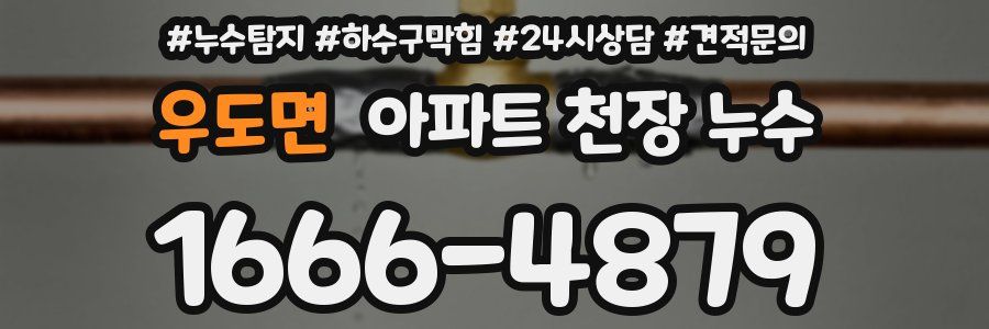 우도면 아파트 천장 누수