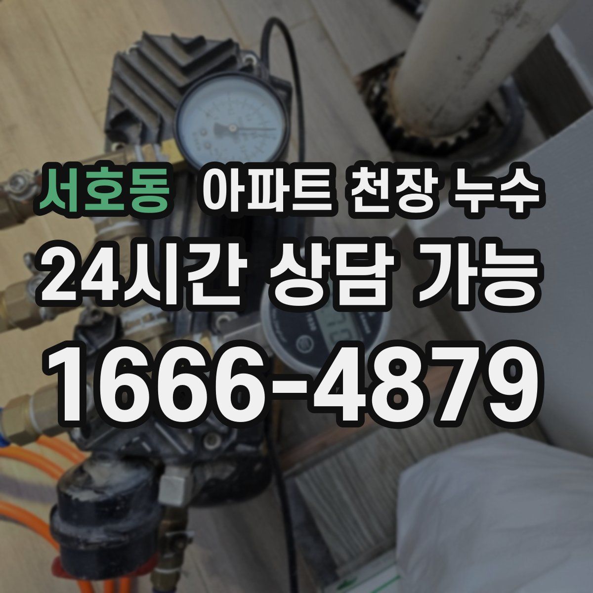 서호동 아파트 천장 누수