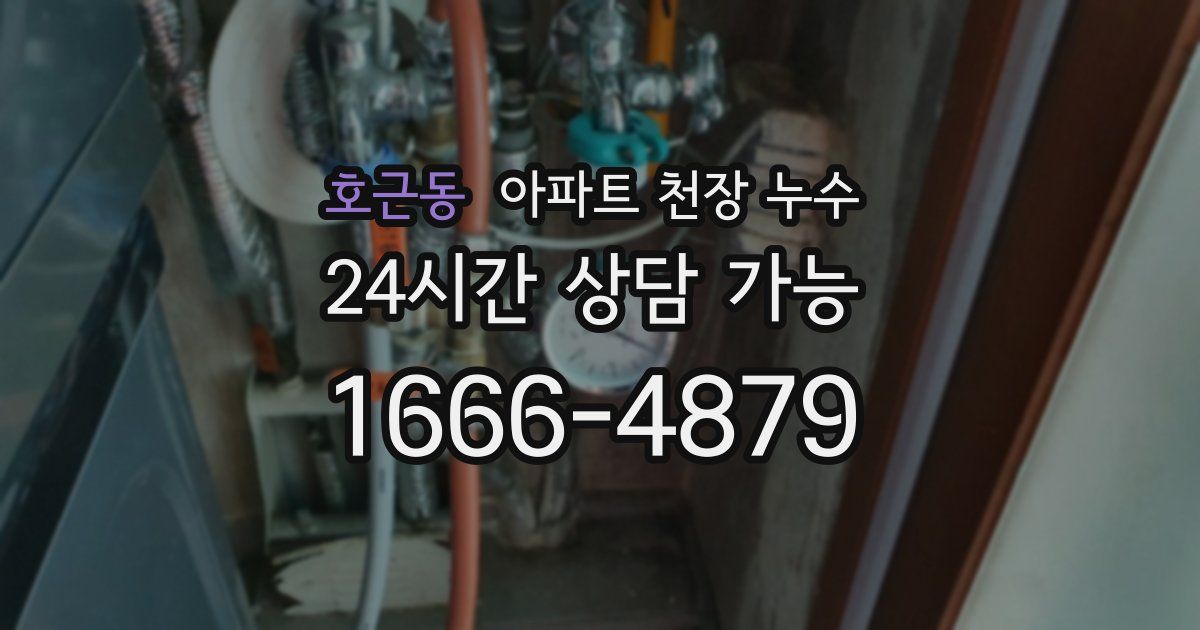 호근동 아파트 천장 누수