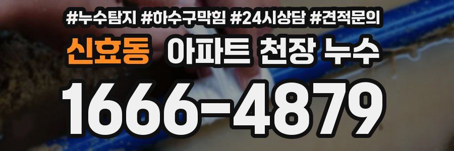 신효동 아파트 천장 누수
